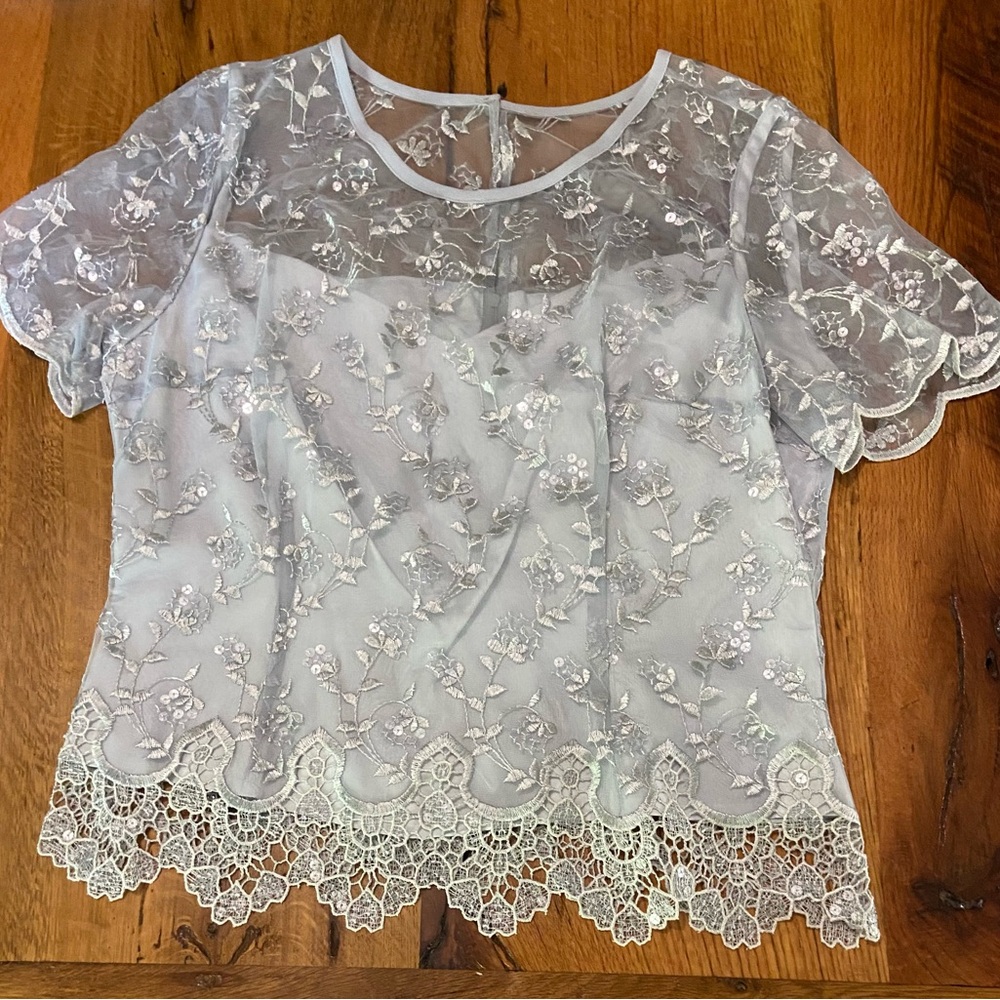 Caramia Vintage Powder Blue Top with Beautiful Embroidery and Sequins, Size 16